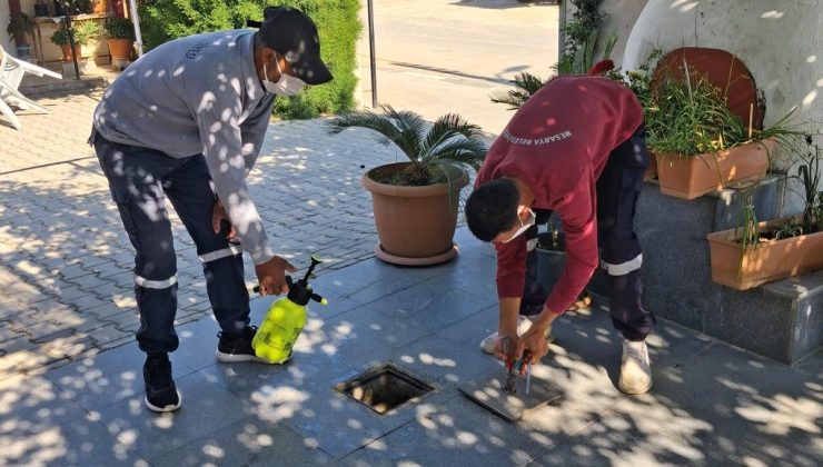 Mesarya Belediyesi haşereyle mücadele çalışmalarını sürdürüyor