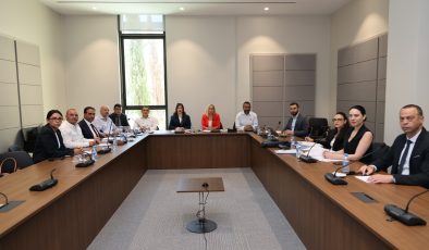 Hukuk, Siyasi İşler, Dışilişkiler ve Savunma Komitesi toplandı