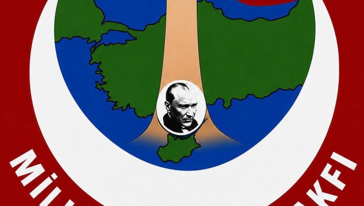 Milli Mücadele Vakfı, Kıbrıs sorunu konusunda eleştirilerde bulundu