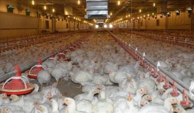 Türkiye Adalet Bakanı Gürlek: “Beyaz et sektöründe 13 firmaya kayyım atandı”