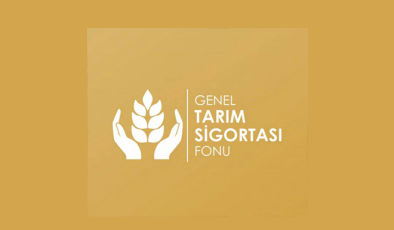 Büyükbaş hayvanlar için düşük tazminatı ödendi