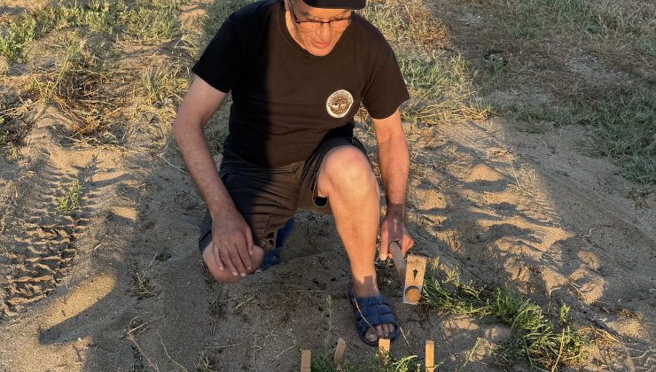 Her Daim Doğa Dostları’ndan Deniz Şebboyu için koruma çabası