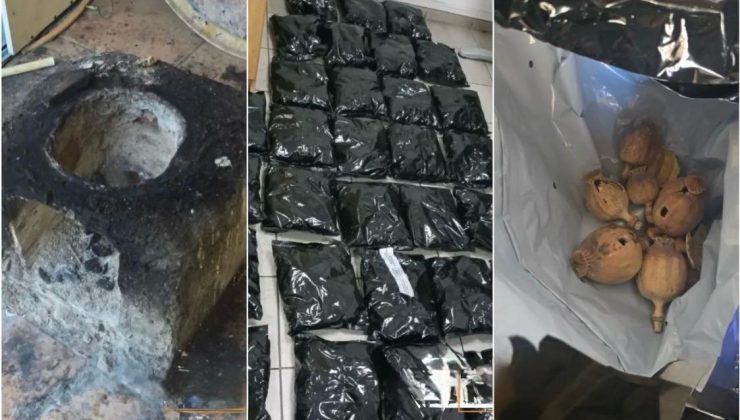 Güney Kıbrıs’ta ilk kez ve çok miktarda afyon haşhaşı ele geçirildi