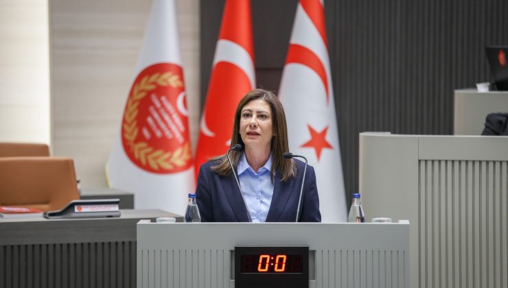 İncirli: “Ülkenin dijital güvenliği ciddi bir güvenlik meselesi”