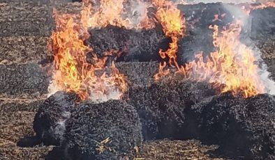 Hamitköy ve Haspolat’ta yangın: 65 ağaç ile buğday tarlası ve balyalar yandı