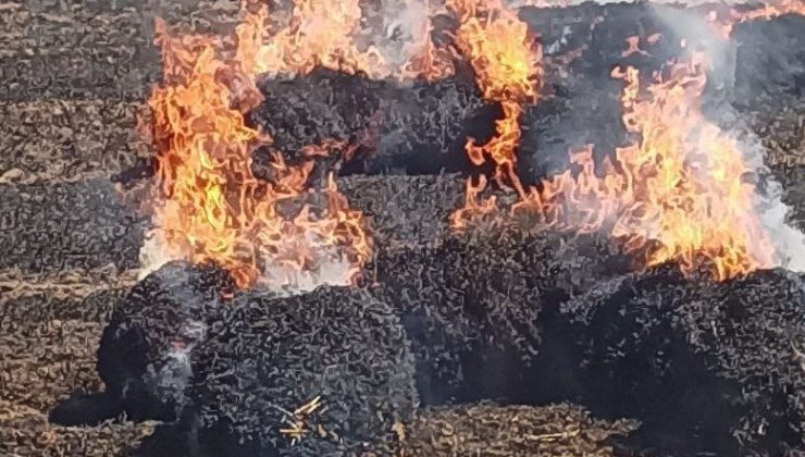 Hamitköy ve Haspolat’ta yangın: 65 ağaç ile buğday tarlası ve balyalar yandı