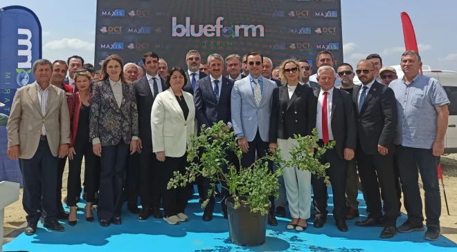 Bluefarm Tarım, 150 bin fidan dikecek! Edirne’ye 4,5 milyon avroluk yaban mersini yatırımı