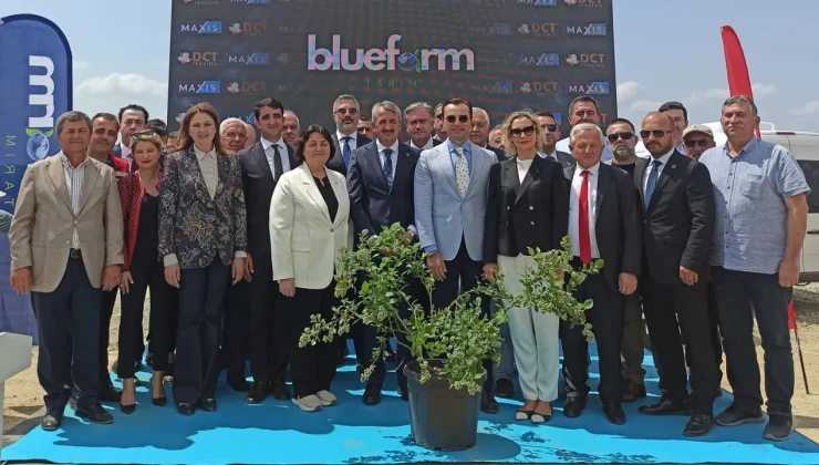 Bluefarm Tarım, 150 bin fidan dikecek! Edirne’ye 4,5 milyon avroluk yaban mersini yatırımı