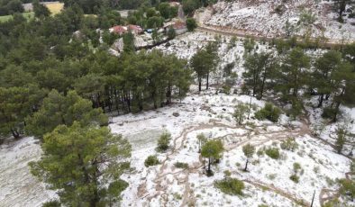 Denizli’de Dolu Yağışı Tarım Alanlarını Vurdu