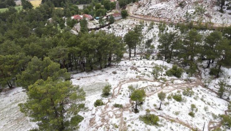 Denizli’de Dolu Yağışı Tarım Alanlarını Vurdu