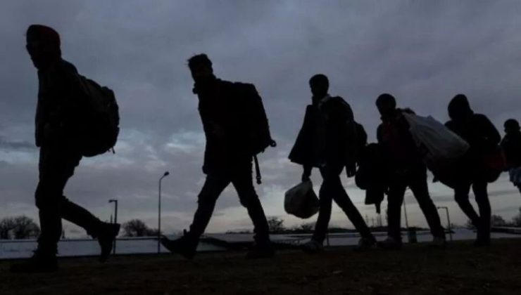 Yılın başından bu yana Güney Kıbrıs’tan 4 bin 21 kişi sınır dışı edildi