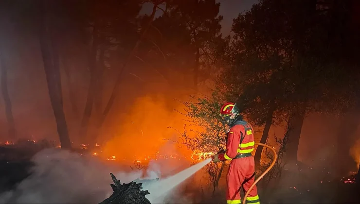 Zaragoza wildfire nears 12,000 hectares and is Spain’s biggest of the year