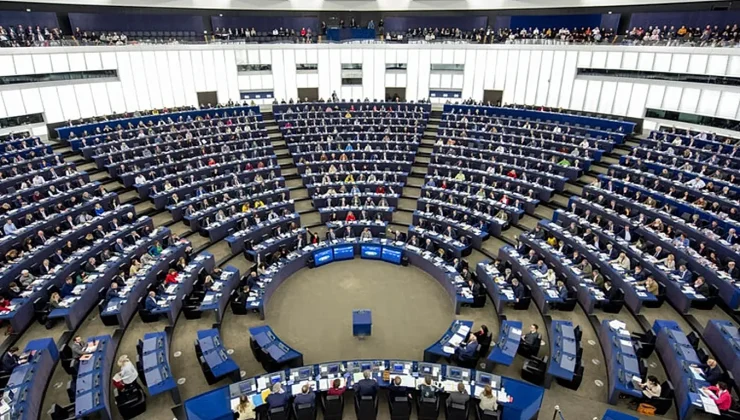 European Parliament triggers procedure to ban Alternative for Germany’s EU party