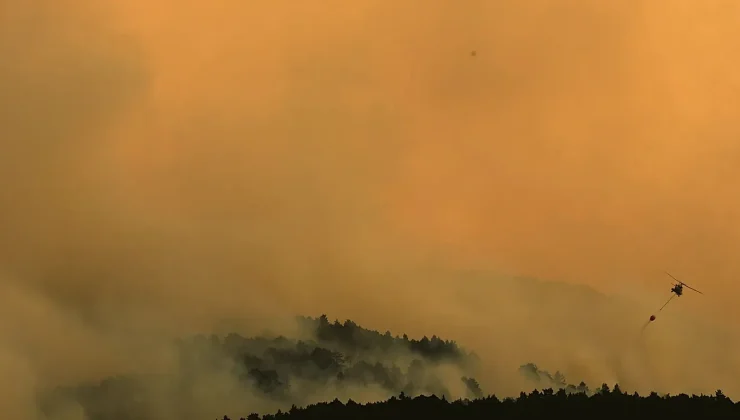 Wildfires rage across parts of France, Spain and Italy