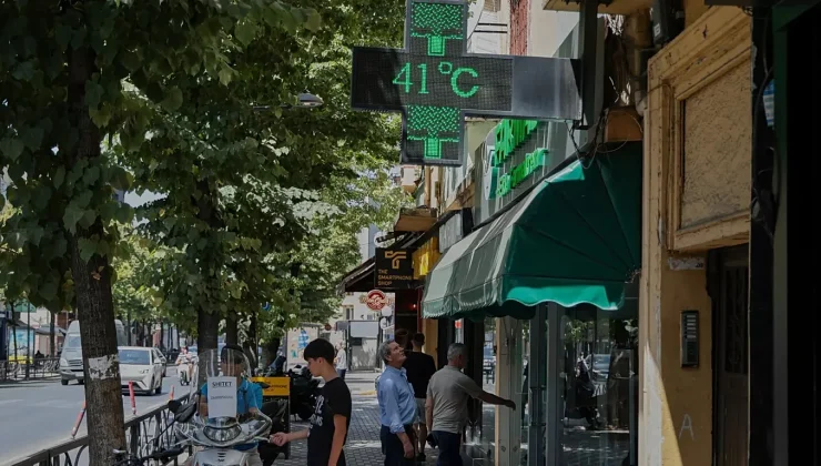 Europe’s heatwaves are fuelling infectious diseases, health agency warns