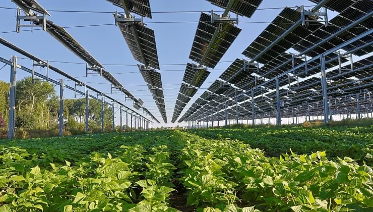 Solar generated record 25% of EU power in June with Germany, Spain and Poland leading the race