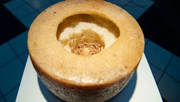 Maggot cheese, fermented fish, pig’s stomach: these delicacies are not for the faint-hearted
