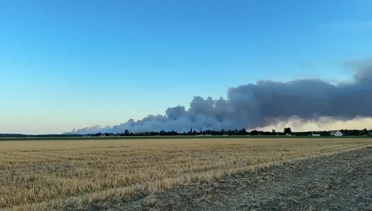 Residents evacuated as fire of ‘exceptional scale’ rages in Fontainebleau forest south of Paris