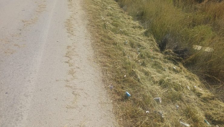 Tatlısu Belediyesi anayollardaki temizlik çalışmalarını sürdürüyor