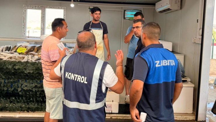 Lefkoşa Merkez Pazarı’nda balık satıcılarına denetim…7 kilo hamisiye el konuldu