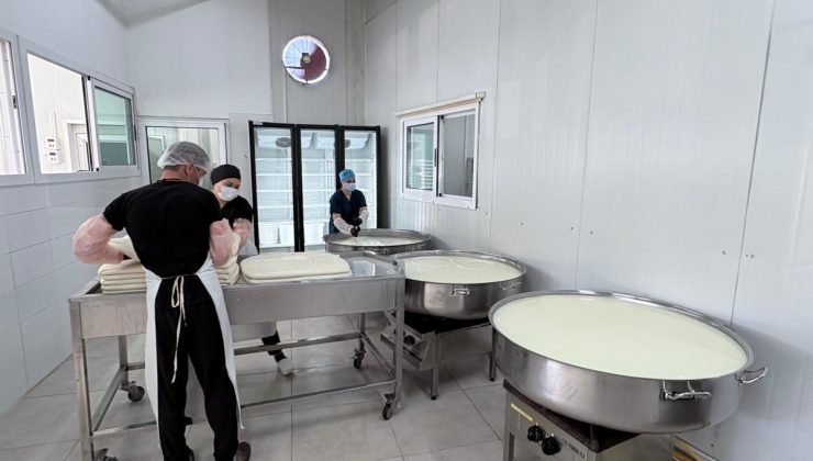 Veteriner Dairesi’nden gıda denetimi… Olumsuzluğa rastlanmadı