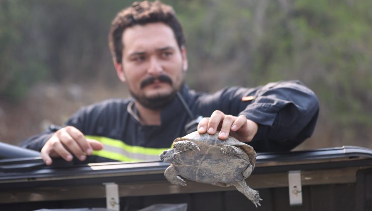 Kaş ve Kumluca’da yangınlarla mücadele sürüyor