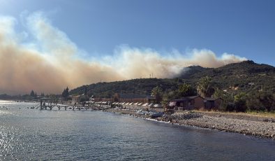 Çanakkale’de ormanlık alanda yangın