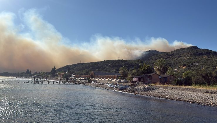 Çanakkale’de ormanlık alanda yangın