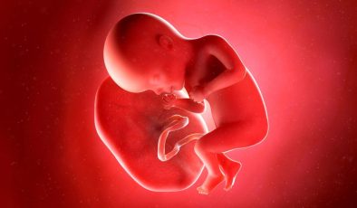 Pakistan’da Plasenta Ticareti Soruşturması