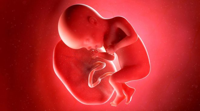Pakistan’da Plasenta Ticareti Soruşturması