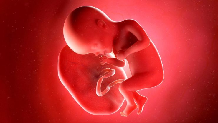 Pakistan’da Plasenta Ticareti Soruşturması