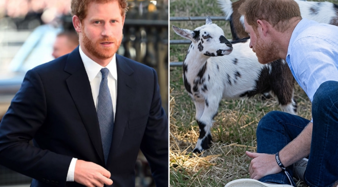 Prens Harry’ye beklenmedik darbe!