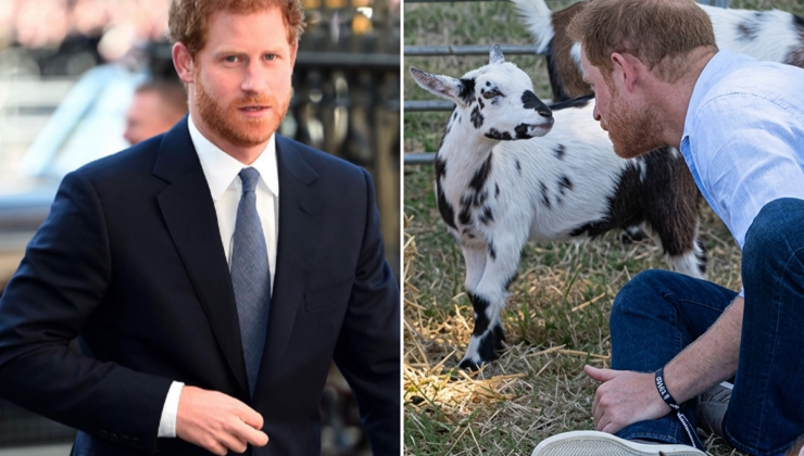 Prens Harry’ye beklenmedik darbe!