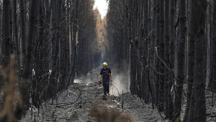 What tools does the EU have to fight wildfires? Are they enough?
