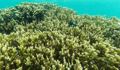 Is global warming supercharging El Niños? New study may reveal the answer