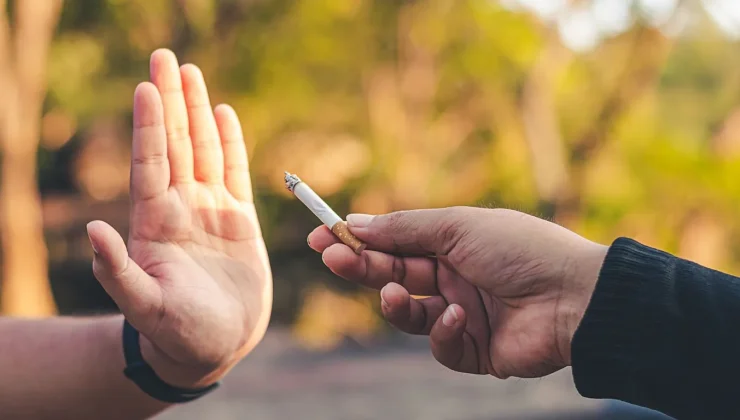 Is the EU cracking down on Tobacco? Ask the Euronews Chatbot.