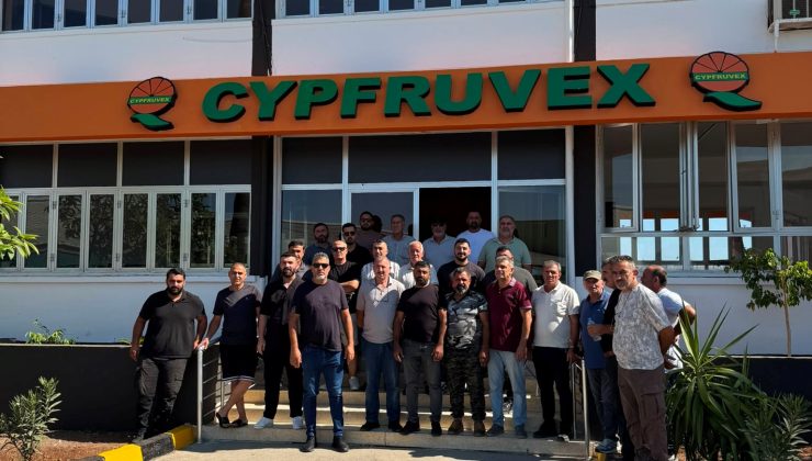 Narenciye Kesim Ekipleri Birliği ödeme talep etti