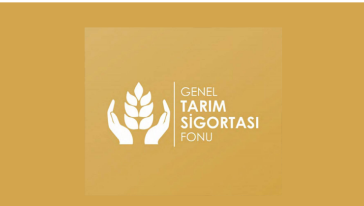 Dolu zararı için 9 üreticiye tazminat ödemeleri başladı