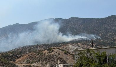 Tirmen’de yangın