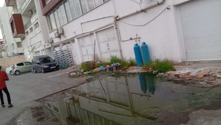 Lefke Çevre ve Ekoloji Derneği, yeniden foseptik birikimi tespit etti