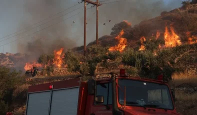 Yunanistan’ın Eğriboz Adası ve Meriç ilinde orman yangınları çıktı