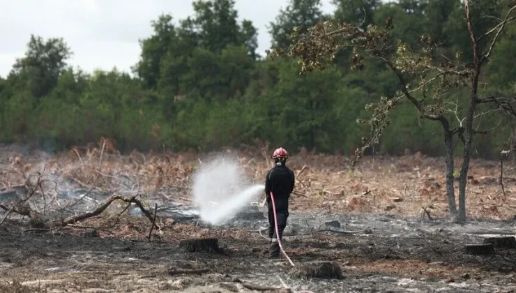 Fransa’nın Lozere vilayetinde ormanlık alanda çıkan yangında 250 hektarlık alan kül oldu