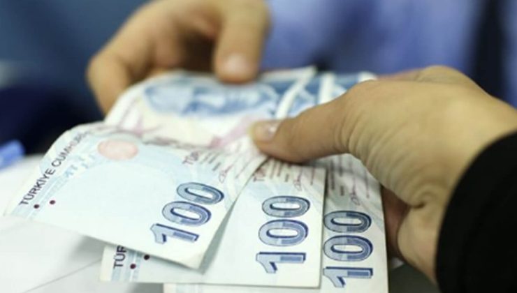 Kişi başı 15 bin 775 lira! Destek ödemeleri hesaplara yatmaya başladı