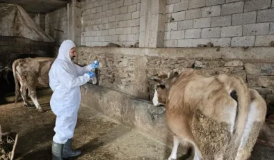 Hayvan besicileri şap hastalığı tazminatlarının ödenmemesi konusunda tepkili