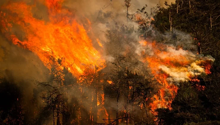 El Niño to be ‘very strong’ and last until February, UN climate agency warns