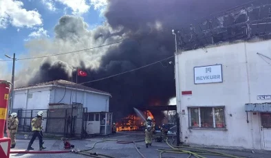 Tuzla’da lojistik depoda yangın: Kereste deposuna ve ağaçlık alana sıçradı