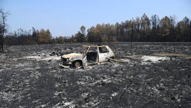Fransa’nın Aude ilindeki orman yangınında 225 hektarlık alan küle döndü