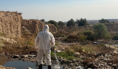 İskele Belediyesi, Batı Nil virüsüne karşı sahadaki ilaçlama faaliyetlerini arttırdı