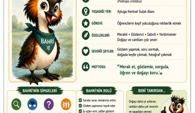 MAKAMER, öğretmenlere yönelik Ayluga Sulak Alanı eğitimi düzenliyor