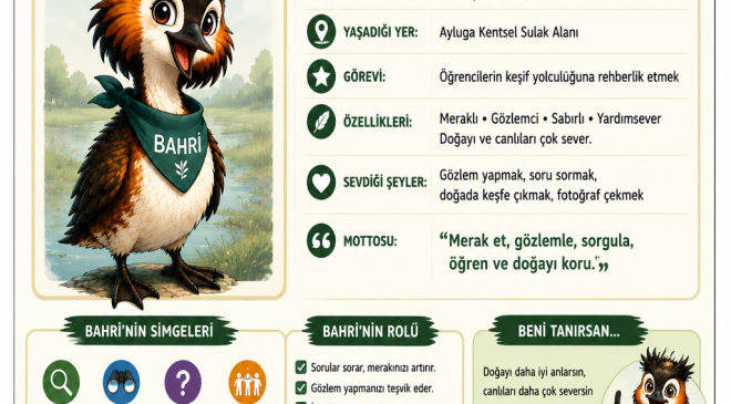 MAKAMER, öğretmenlere yönelik Ayluga Sulak Alanı eğitimi düzenliyor